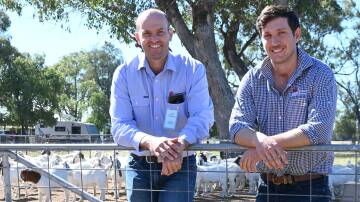 Dr Tom Granleese and Kieran Smith are leading projects to help take the goat industry forward. Picture by Denis Howard